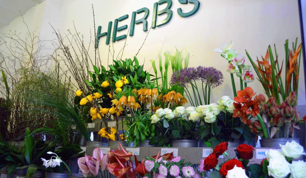 Herbs, un concept venu d’ailleurs…