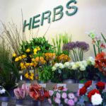 Herbs, un concept venu d’ailleurs… 12