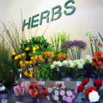 Herbs, un concept venu d’ailleurs… 9