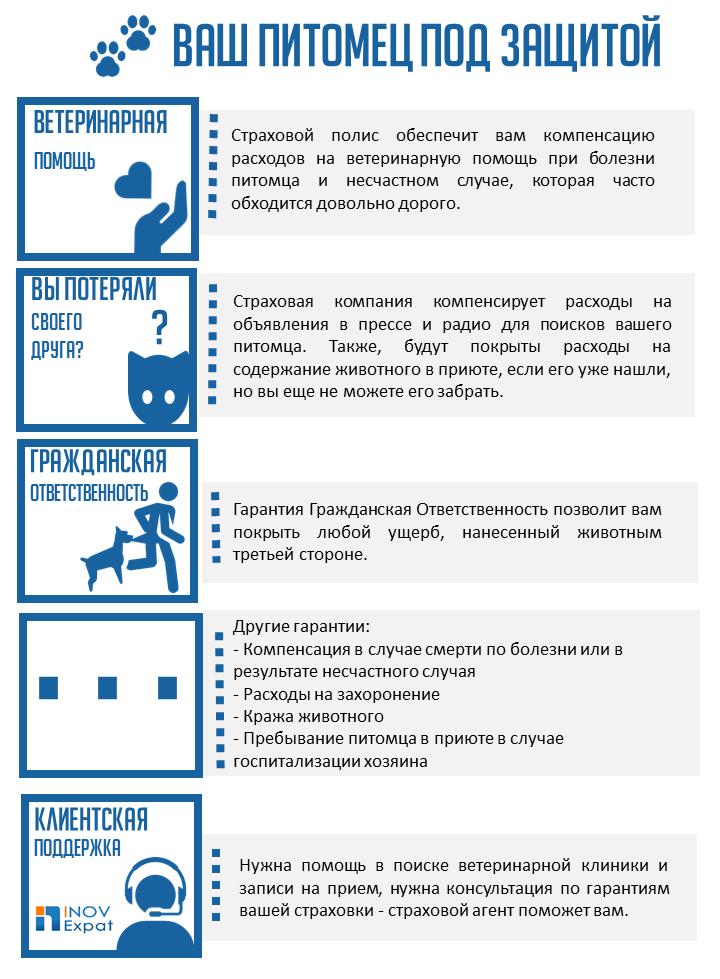 КАК РАБОТАЕТ СТРАХОВАНИЕ ДОМАШНИХ ЖИВОТНЫХ В ИСПАНИИ? 1