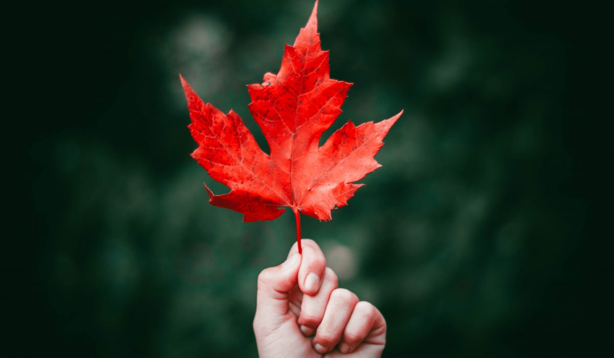 AUTOMNE 2018 : NOTRE OFFRE DE PARRAINAGE