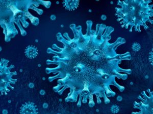 coronavirus